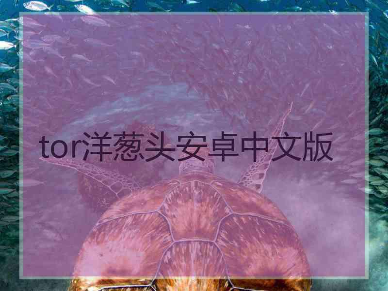 tor洋葱头安卓中文版