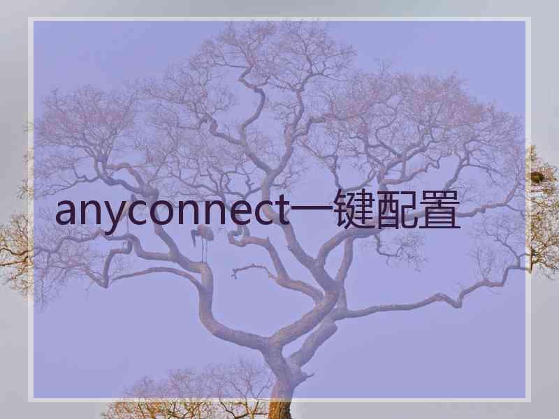 anyconnect一键配置